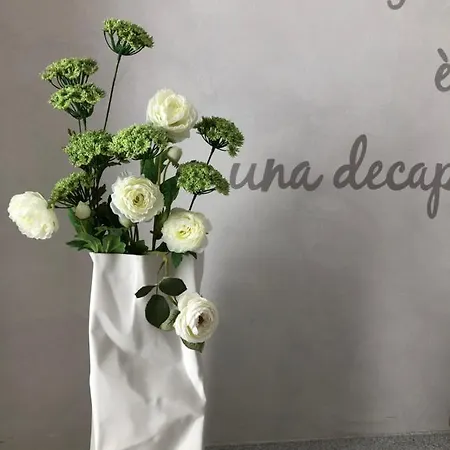 Picinque B Apartmán