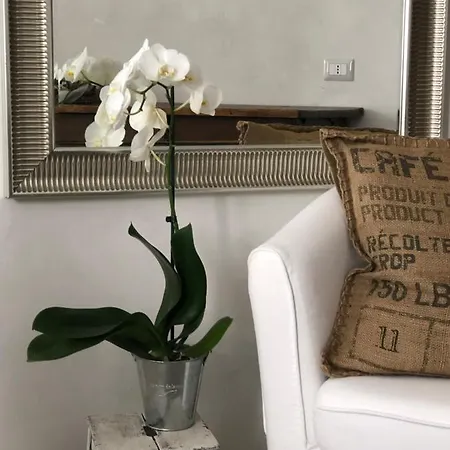 Apartmán Picinque B